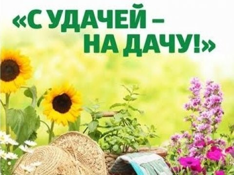 Удачи на даче а как же иначе картинки