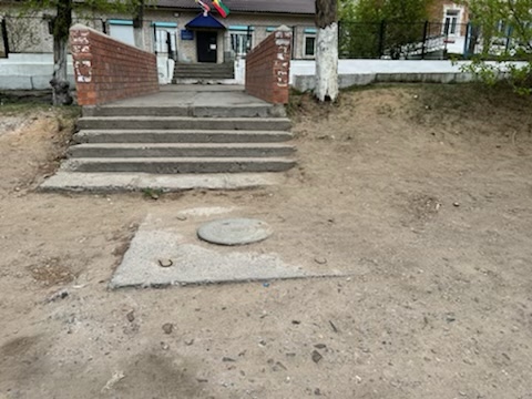 лук 2022.jpeg