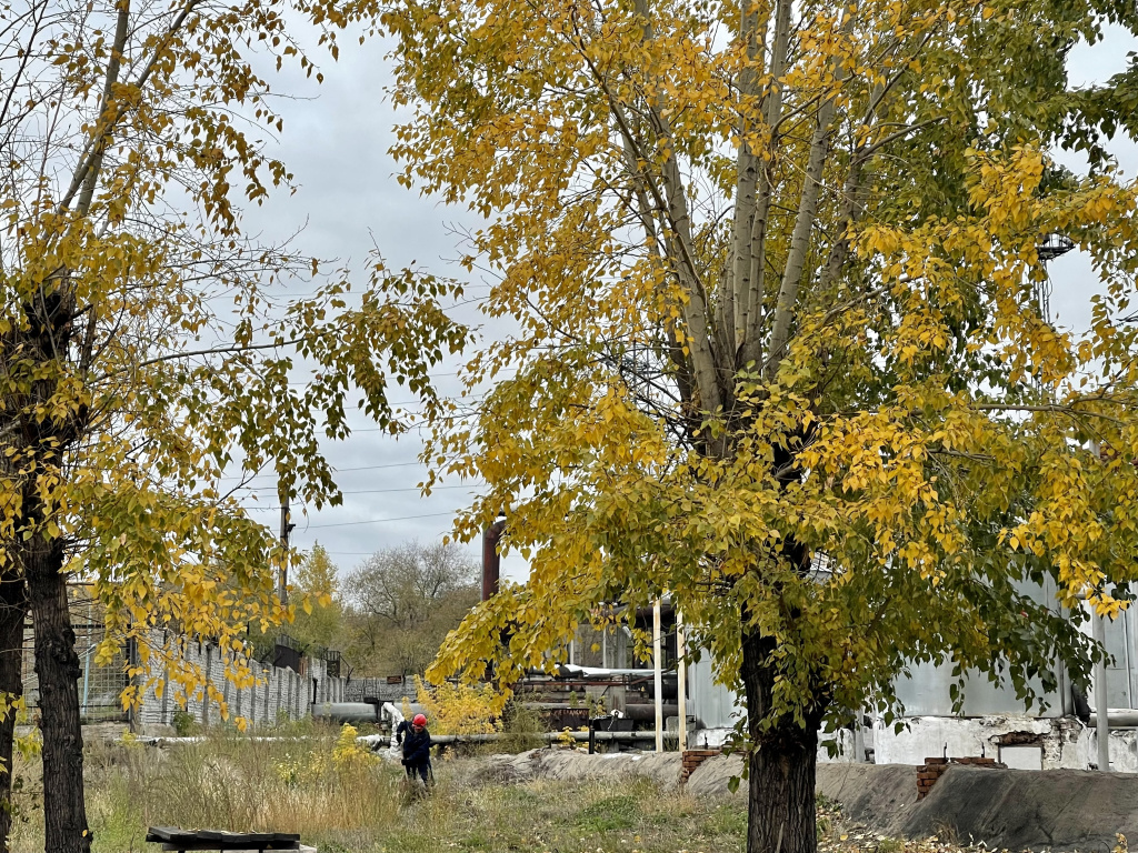IMG_8113.jpg